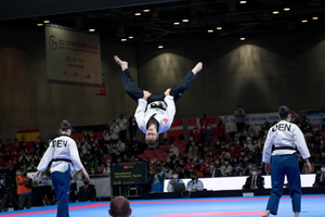 Moo Sa Taekwondo Klub fra Skanderborg var repræsenteret med hele tre medlemmer, da der var VM i Sydkorea. Selv om det ikke blev til medaljer, var de bedste europæere i deres respektive grupper.