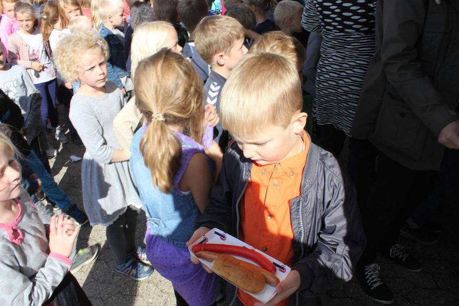 Artiklens øverste billede