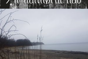 Ebeltoft Kunsthal slår ’mammut-portene’ op for anden sæson i det rustikke udstillingsrum på havnen i Ebeltoft. Årets første udstilling er med kunstneren Claus Haxholm med titlen ”Af natmørkt hav”. 