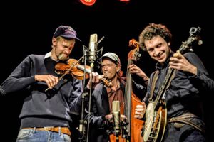 Trio, der kan opleves 15. november i Pavillonen, har fundet en ny måde at fortolke den amerikanske folkemusik.