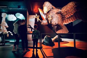 Nu åbner Naturhistrisk Museum dørene efter lukketid og byder ind til bordrollespil – lige midt i udstillingen "Drager og andre mytiske væsner".