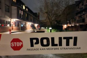 Torsdag aften blev der affyret skud i et boligområde i Frederiksberg. Politiet har offentliggjort et signalement.