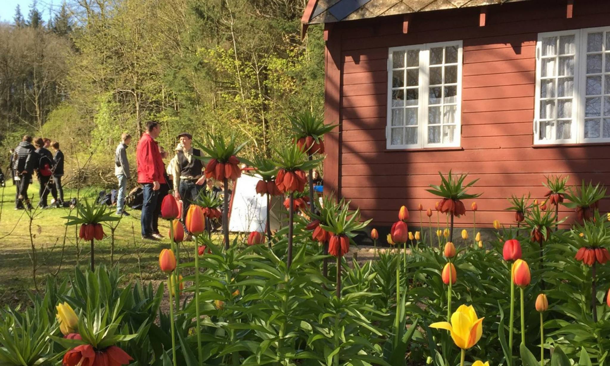 Artiklens øverste billede