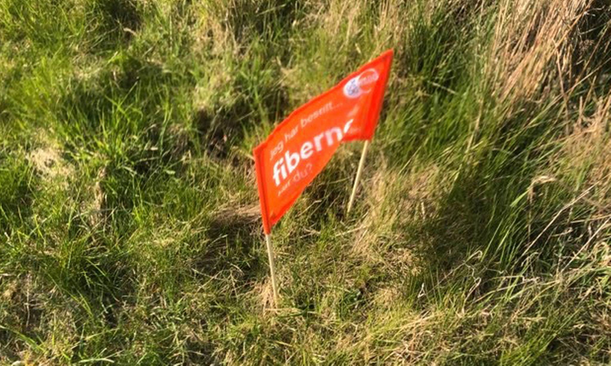 Artiklens øverste billede