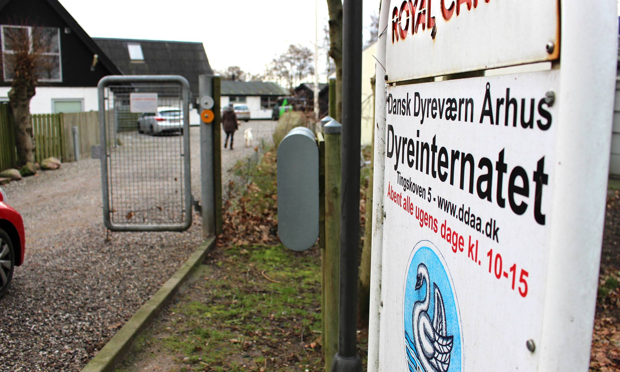 Artiklens øverste billede
