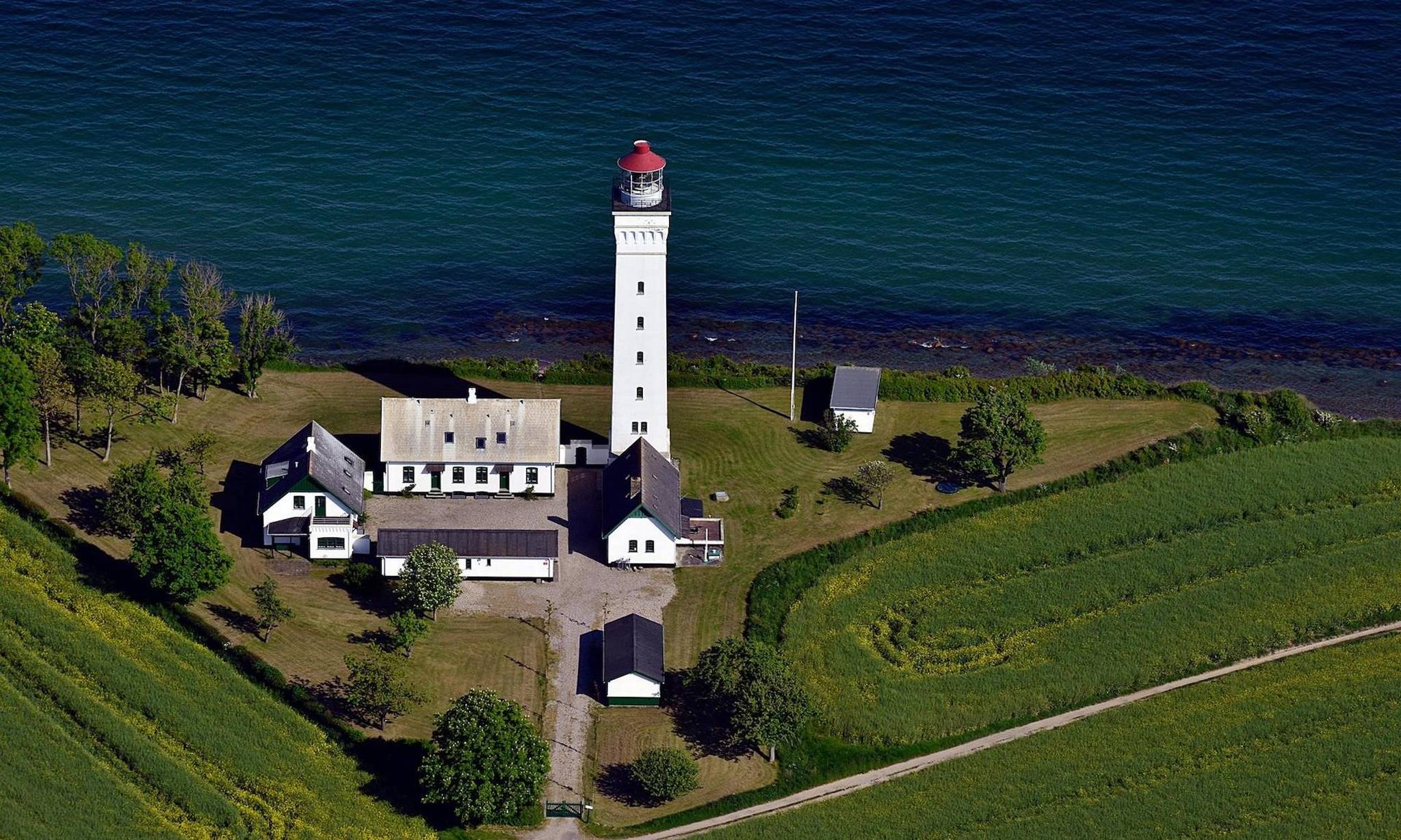 Artiklens øverste billede
