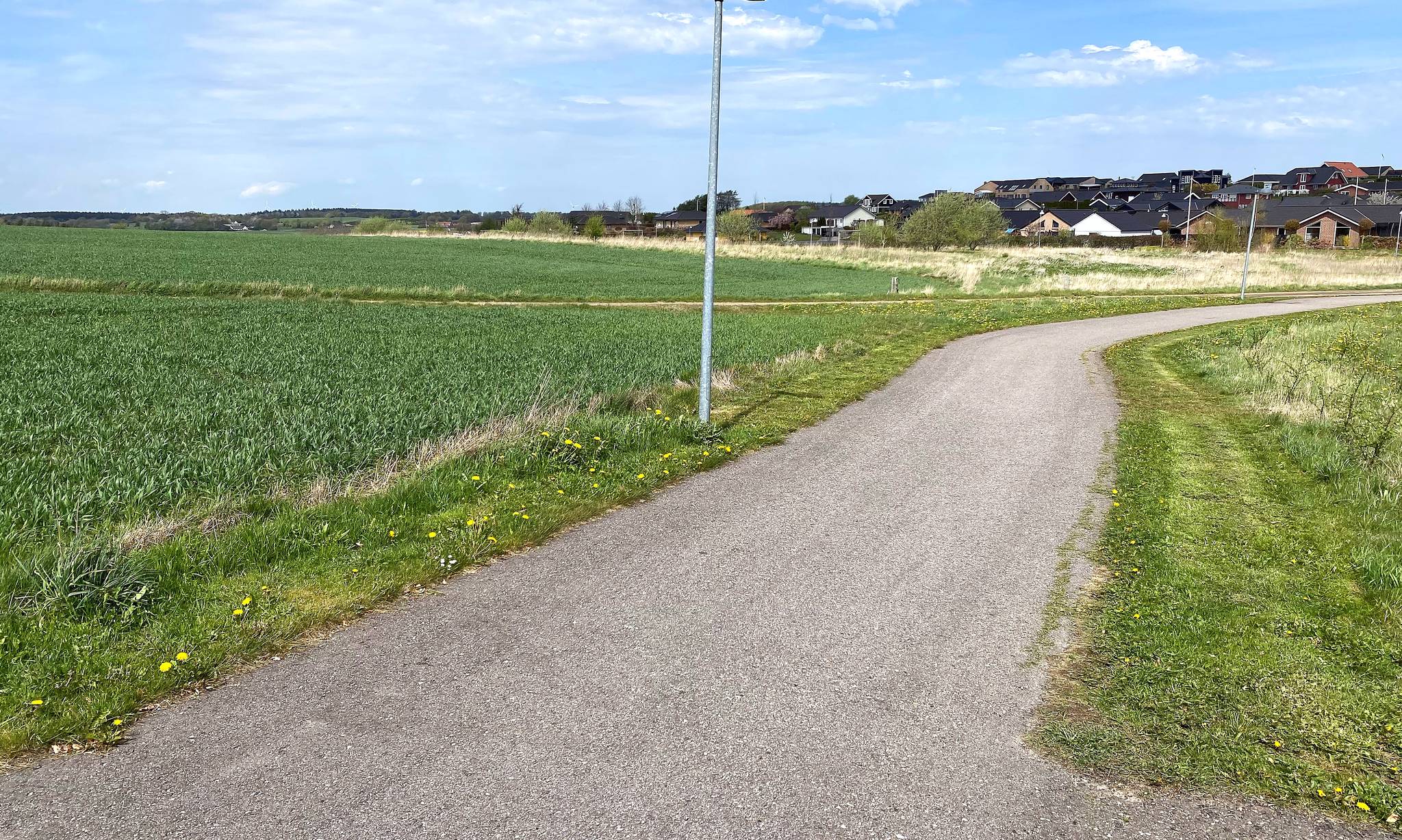 Artiklens øverste billede