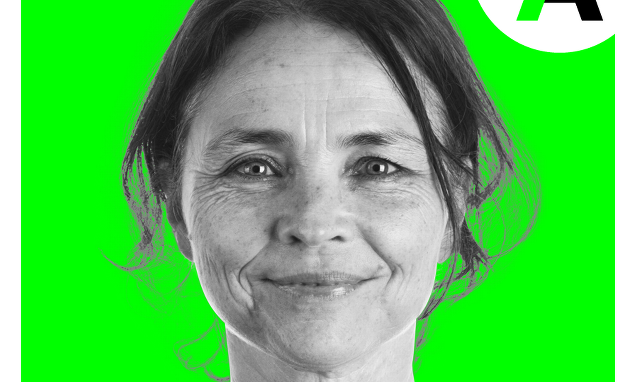 Artiklens øverste billede