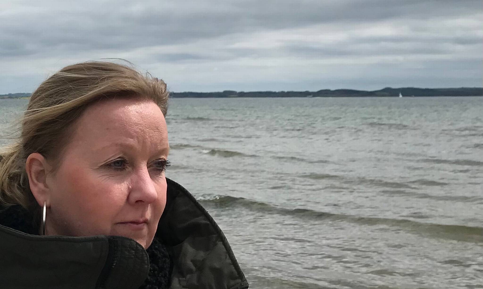 Artiklens øverste billede