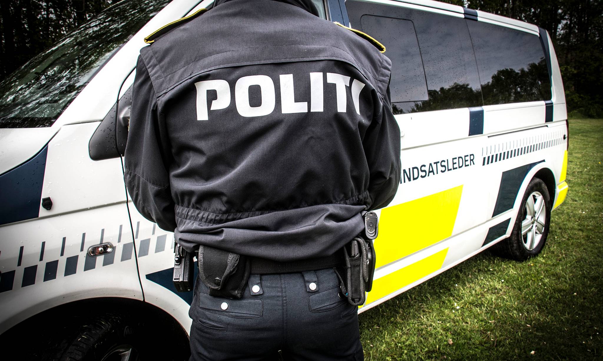 Artiklens øverste billede