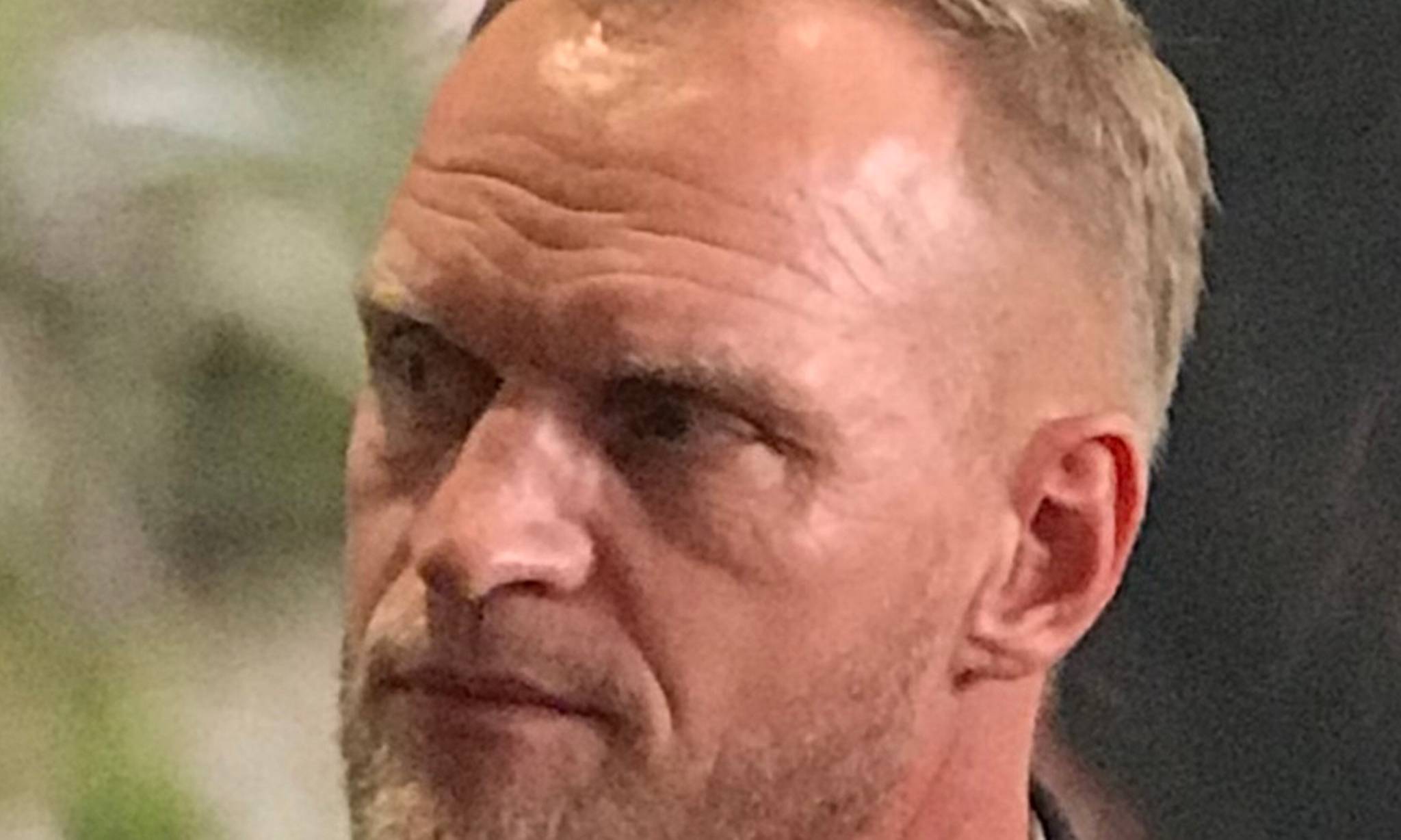 Artiklens øverste billede
