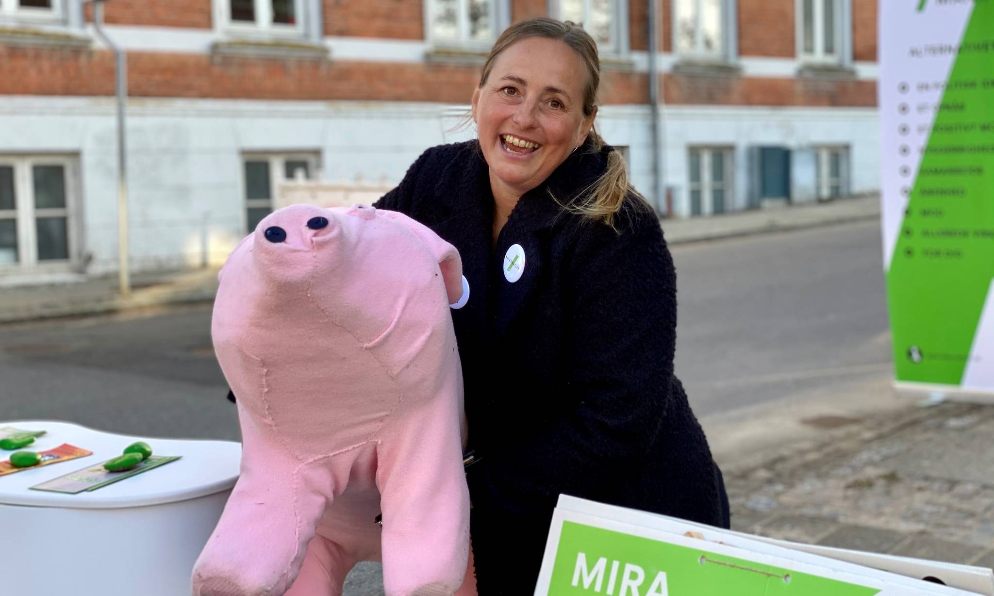 Artiklens øverste billede