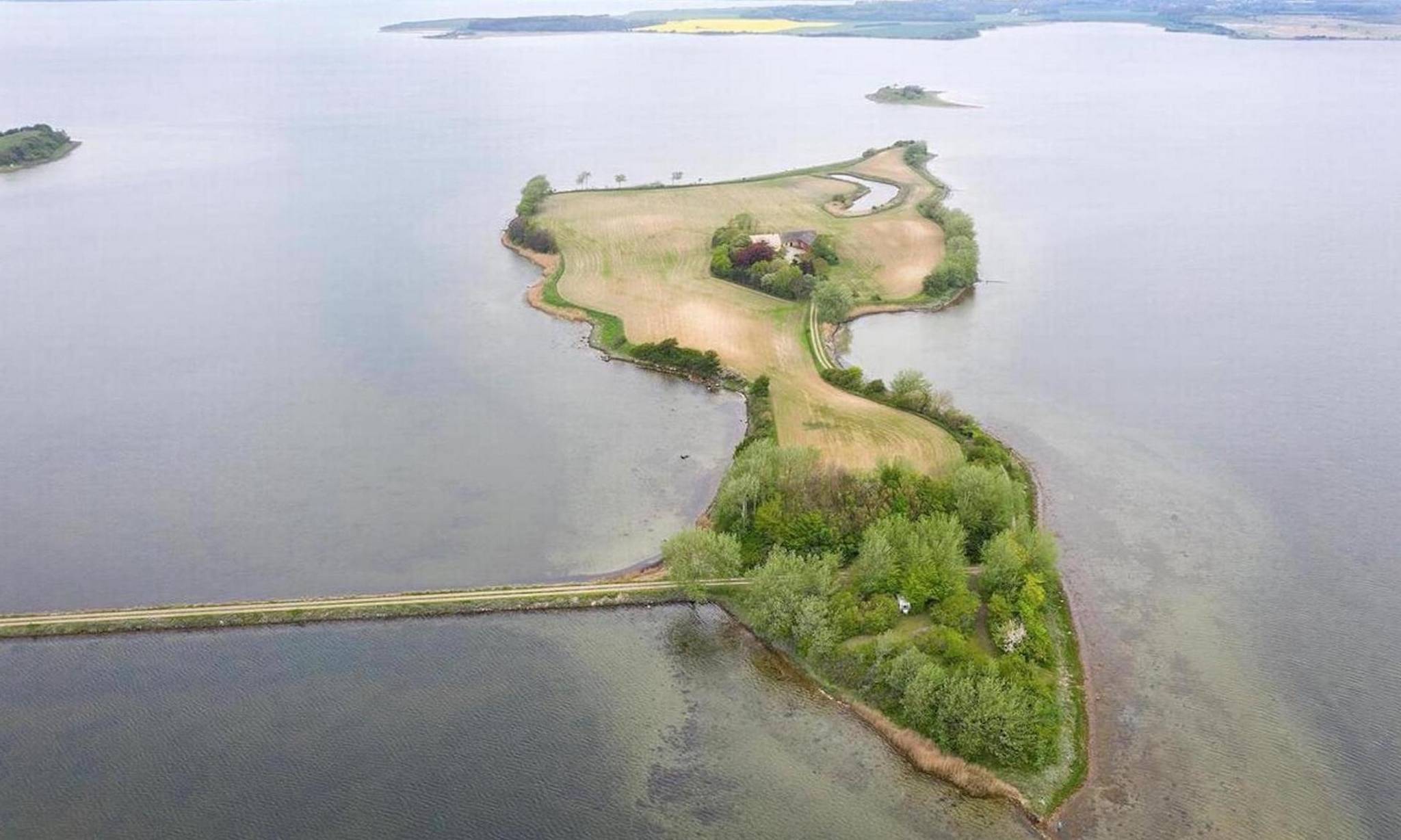 Artiklens øverste billede