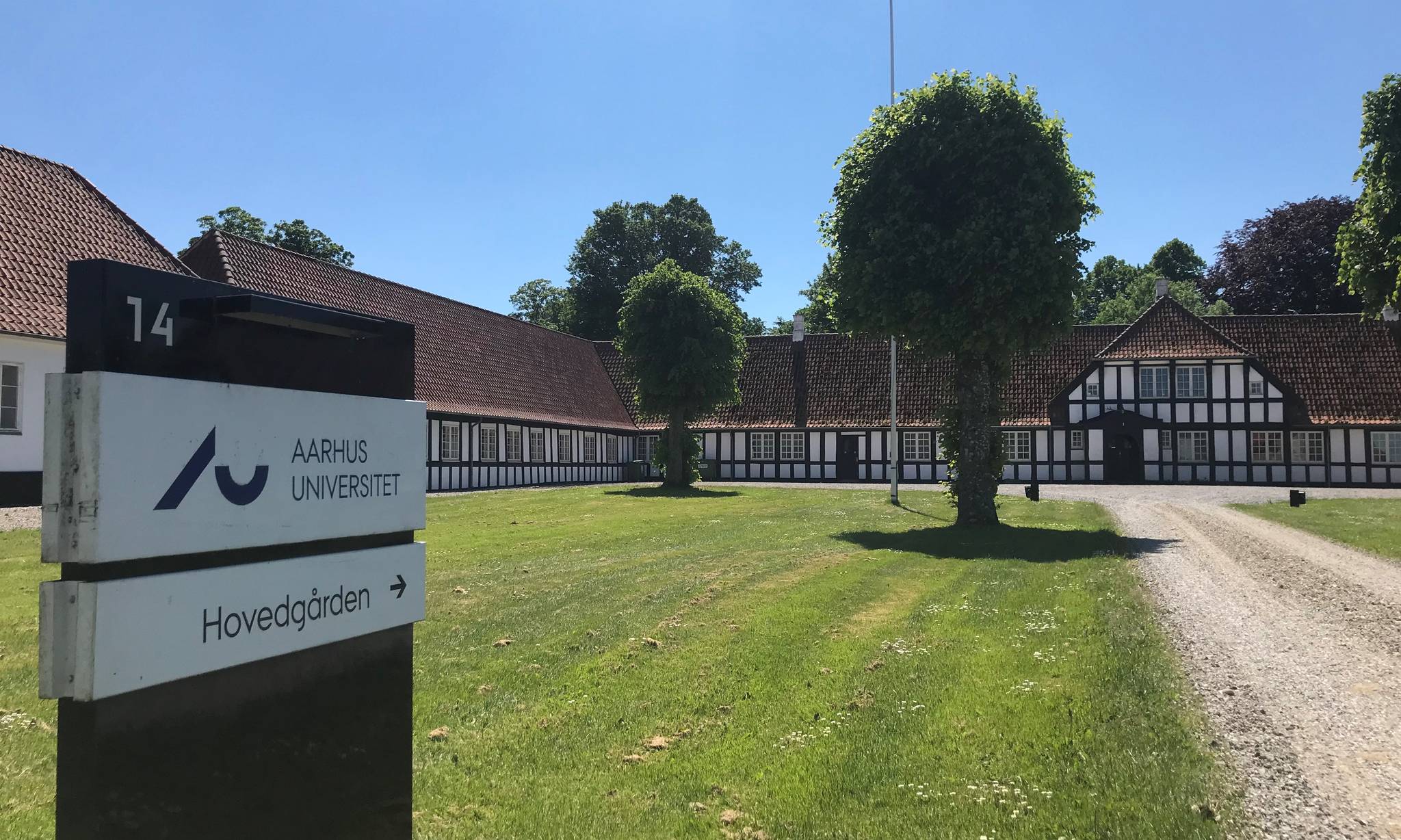 Artiklens øverste billede