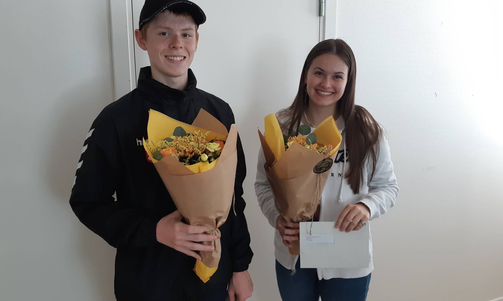 Artiklens øverste billede