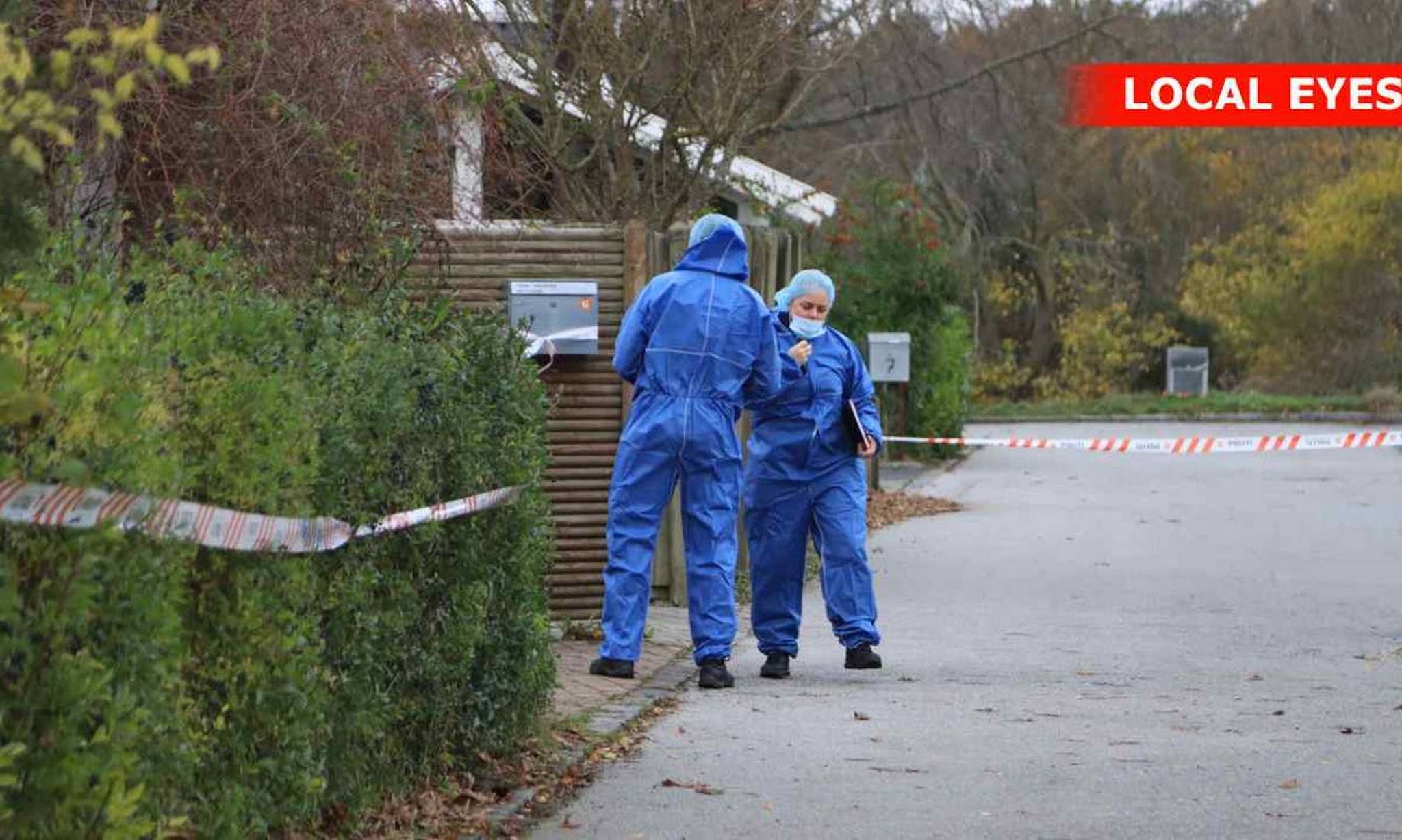 Artiklens øverste billede