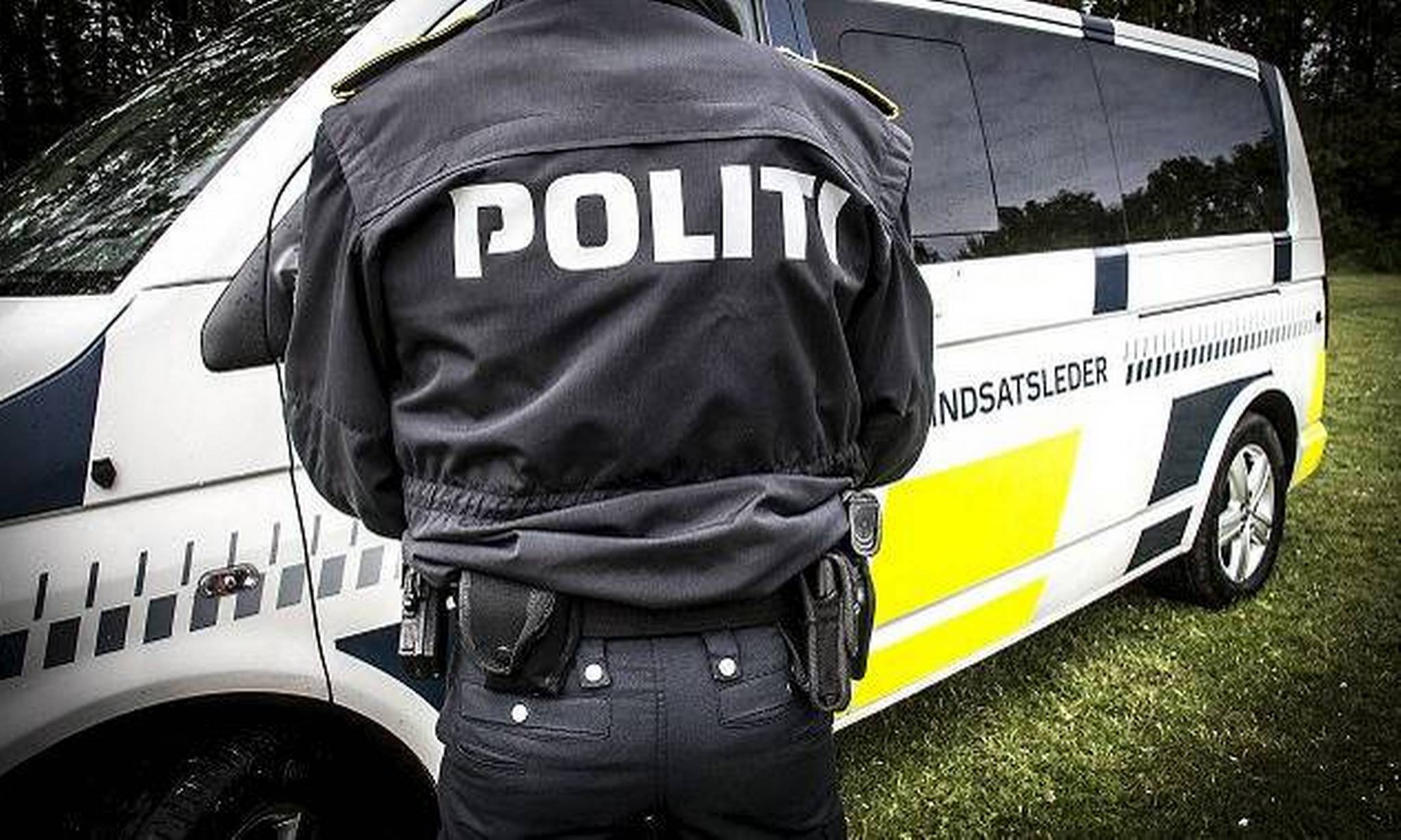 Artiklens øverste billede