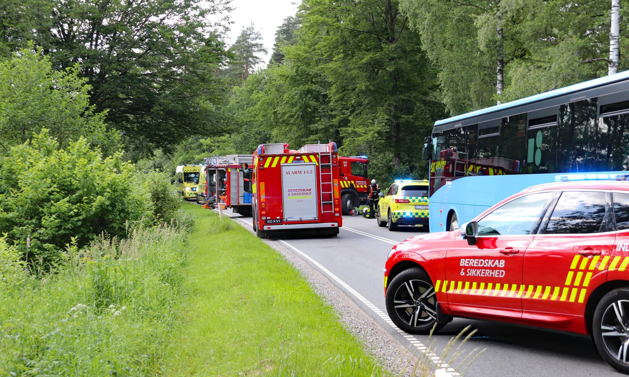 Artiklens øverste billede