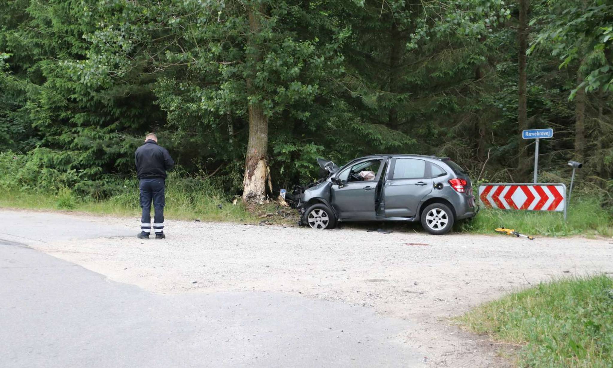 Artiklens øverste billede