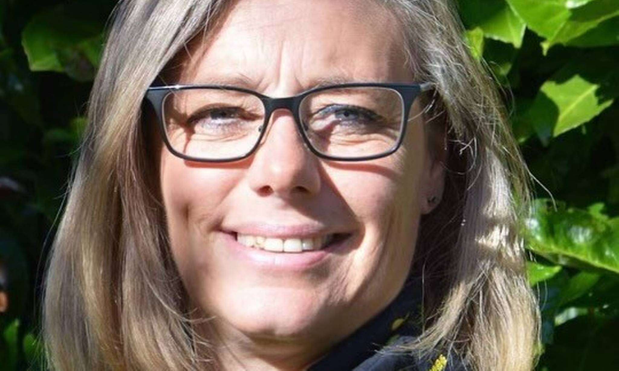 Artiklens øverste billede
