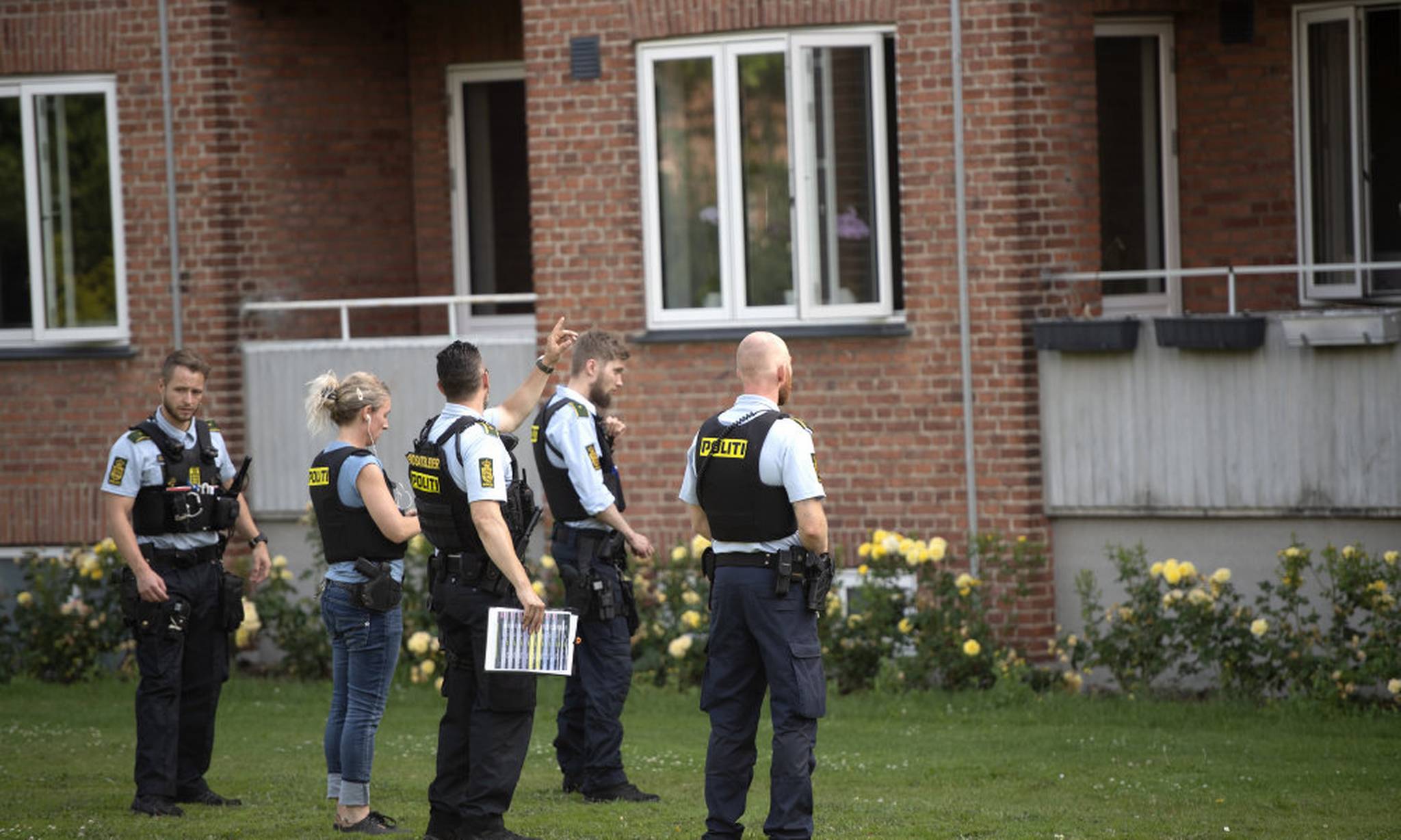 Artiklens øverste billede