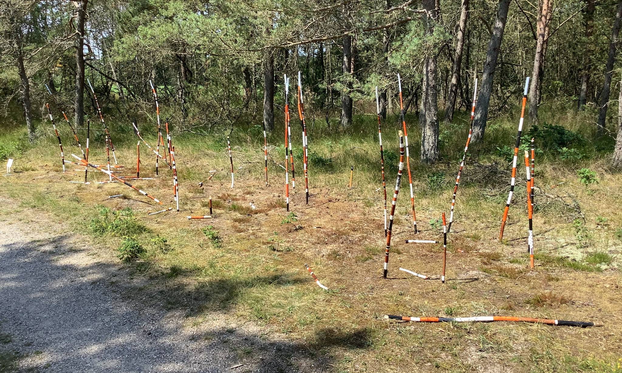 Artiklens øverste billede