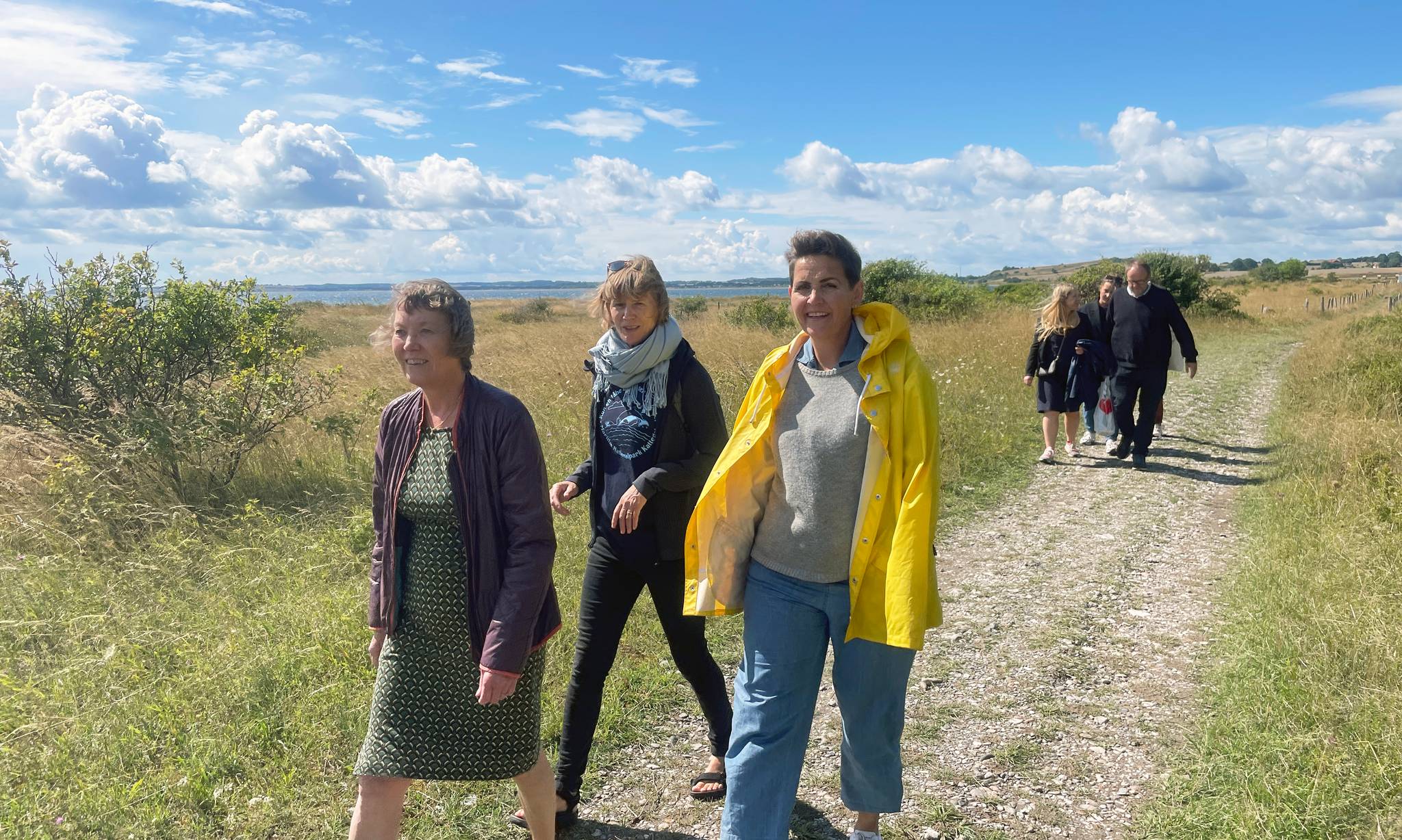 Artiklens øverste billede