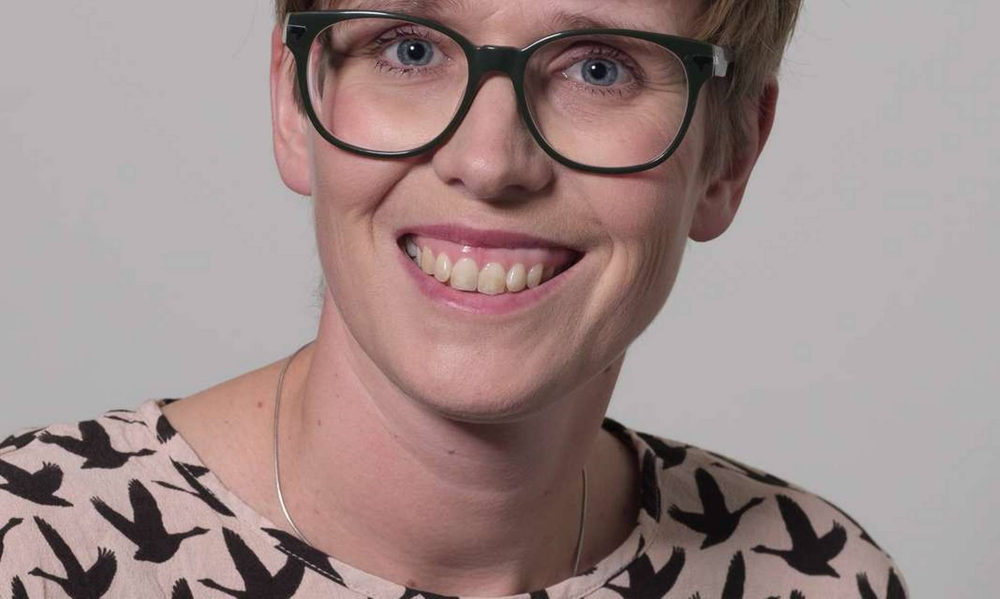 Artiklens øverste billede