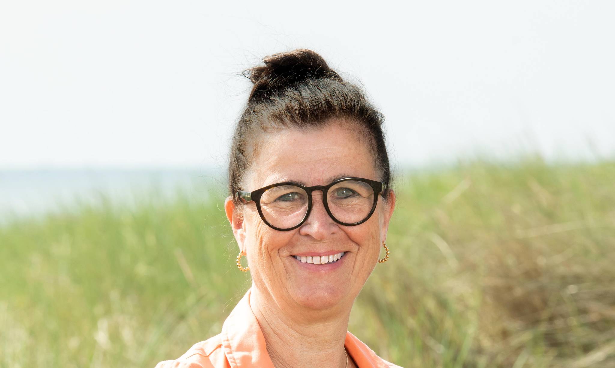 Artiklens øverste billede