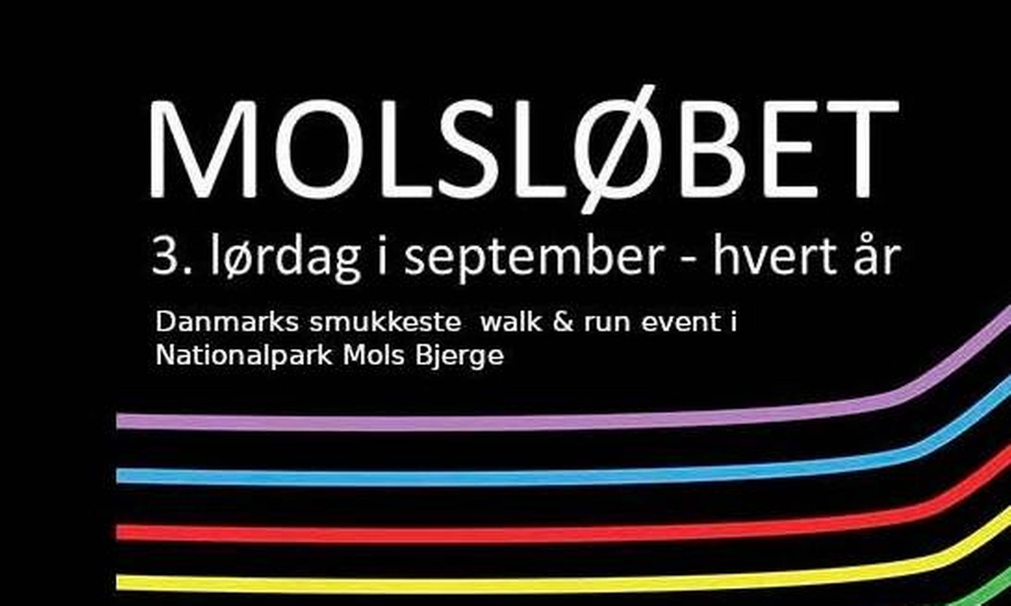 Artiklens øverste billede