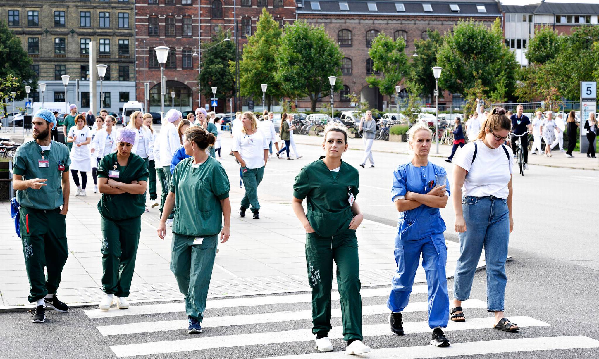 Artiklens øverste billede