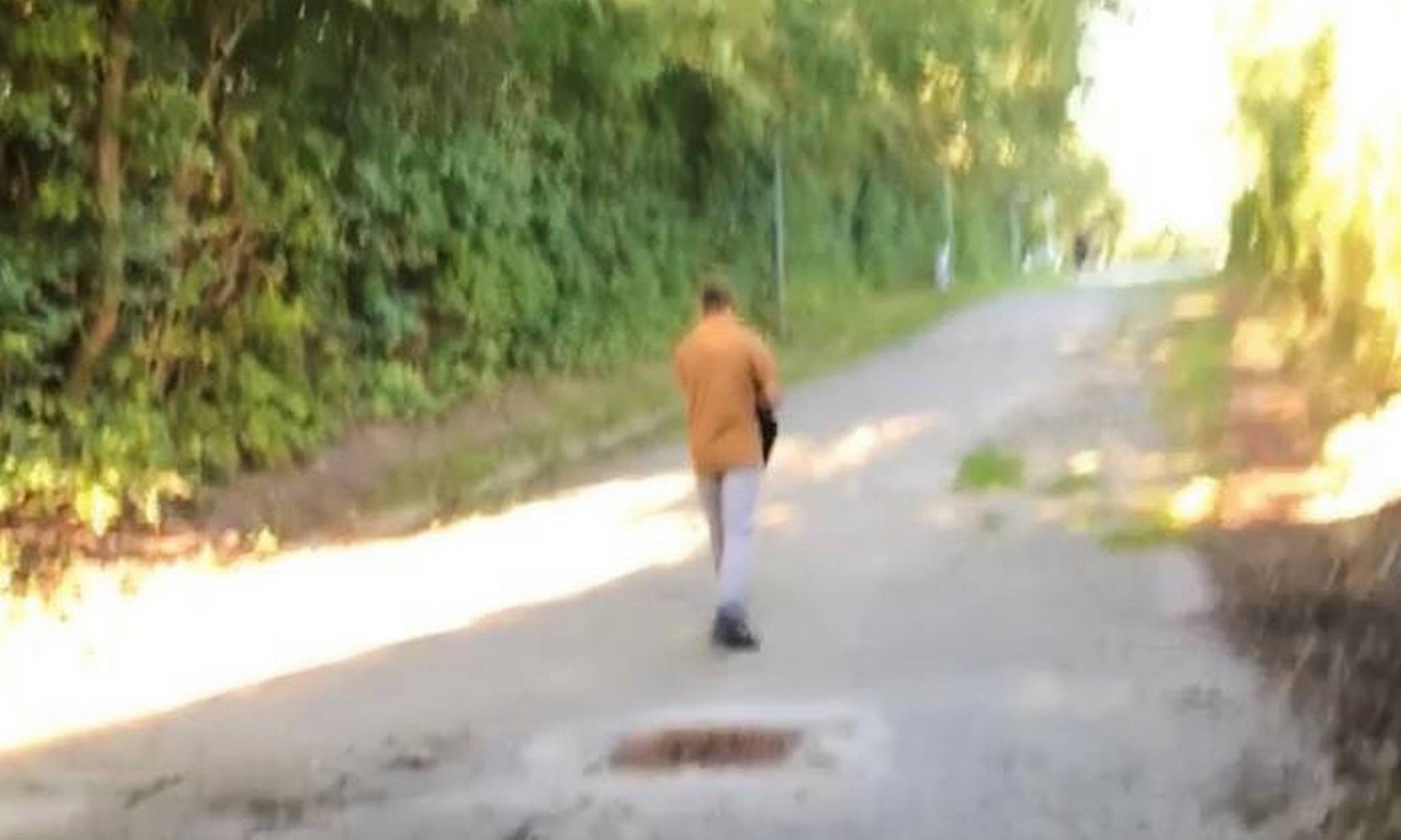 Artiklens øverste billede