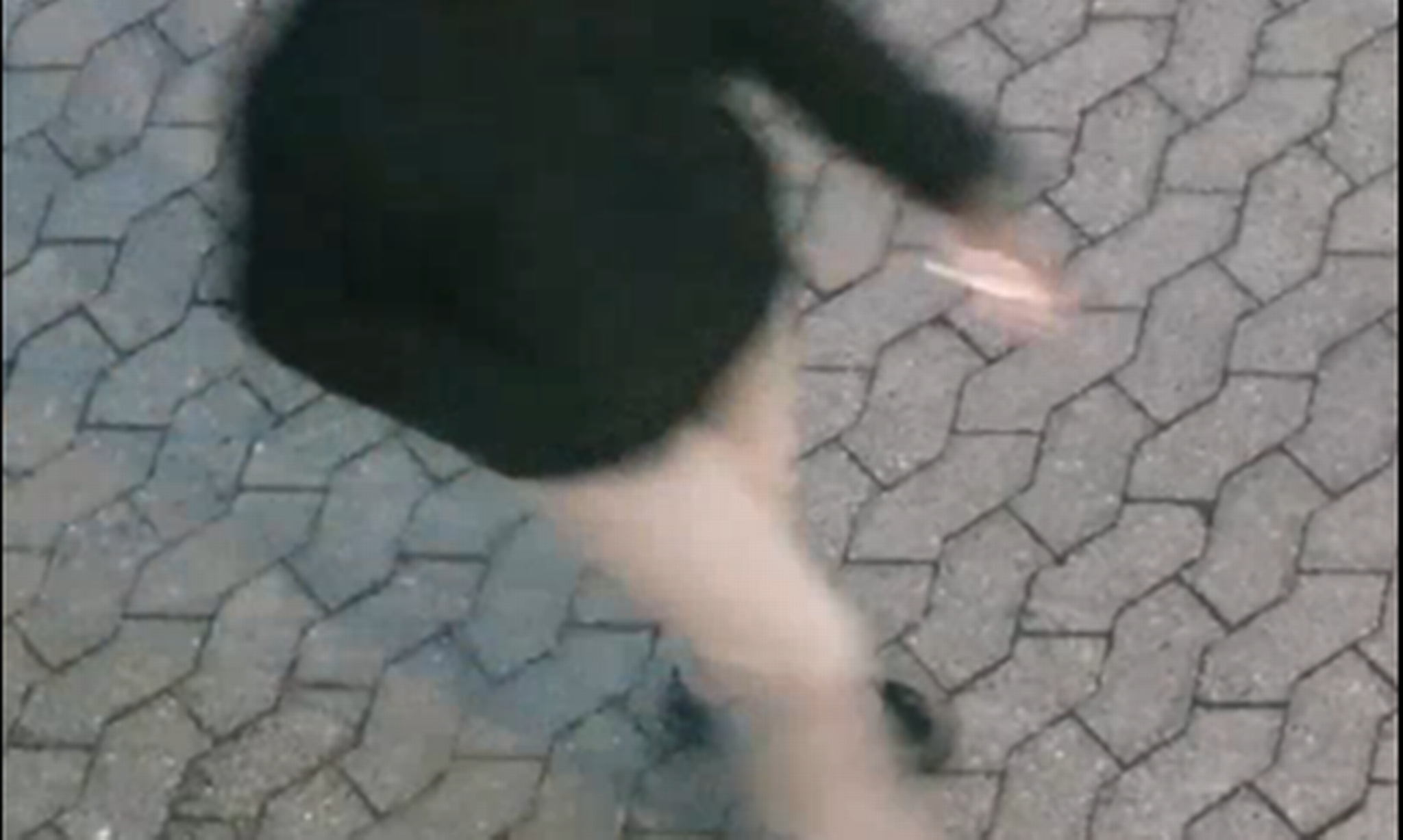 Artiklens øverste billede