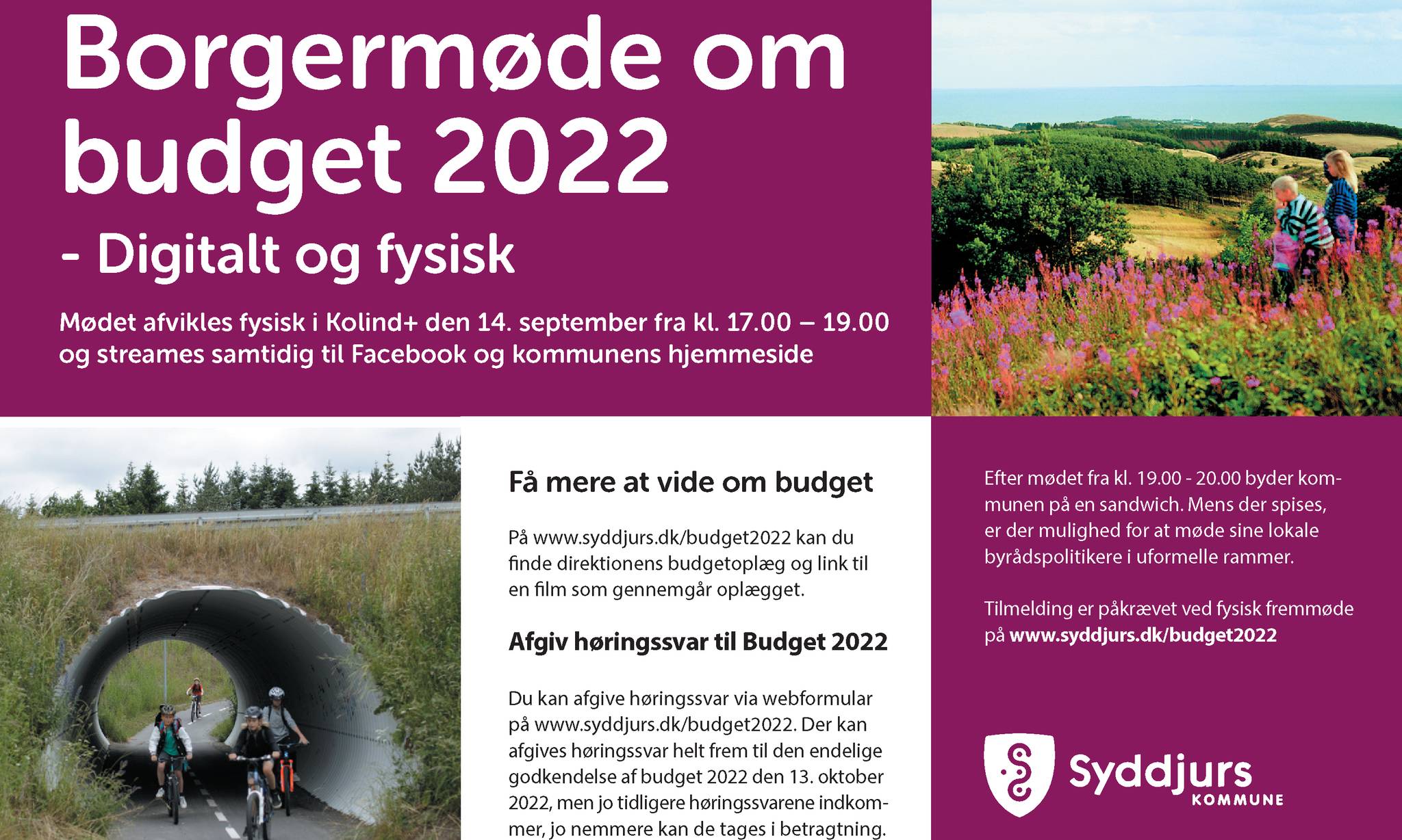 Artiklens øverste billede
