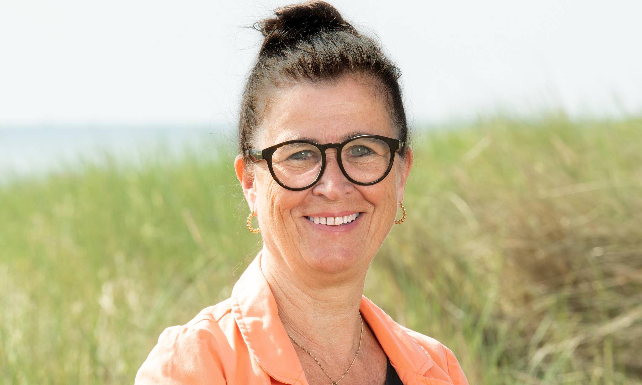 Artiklens øverste billede