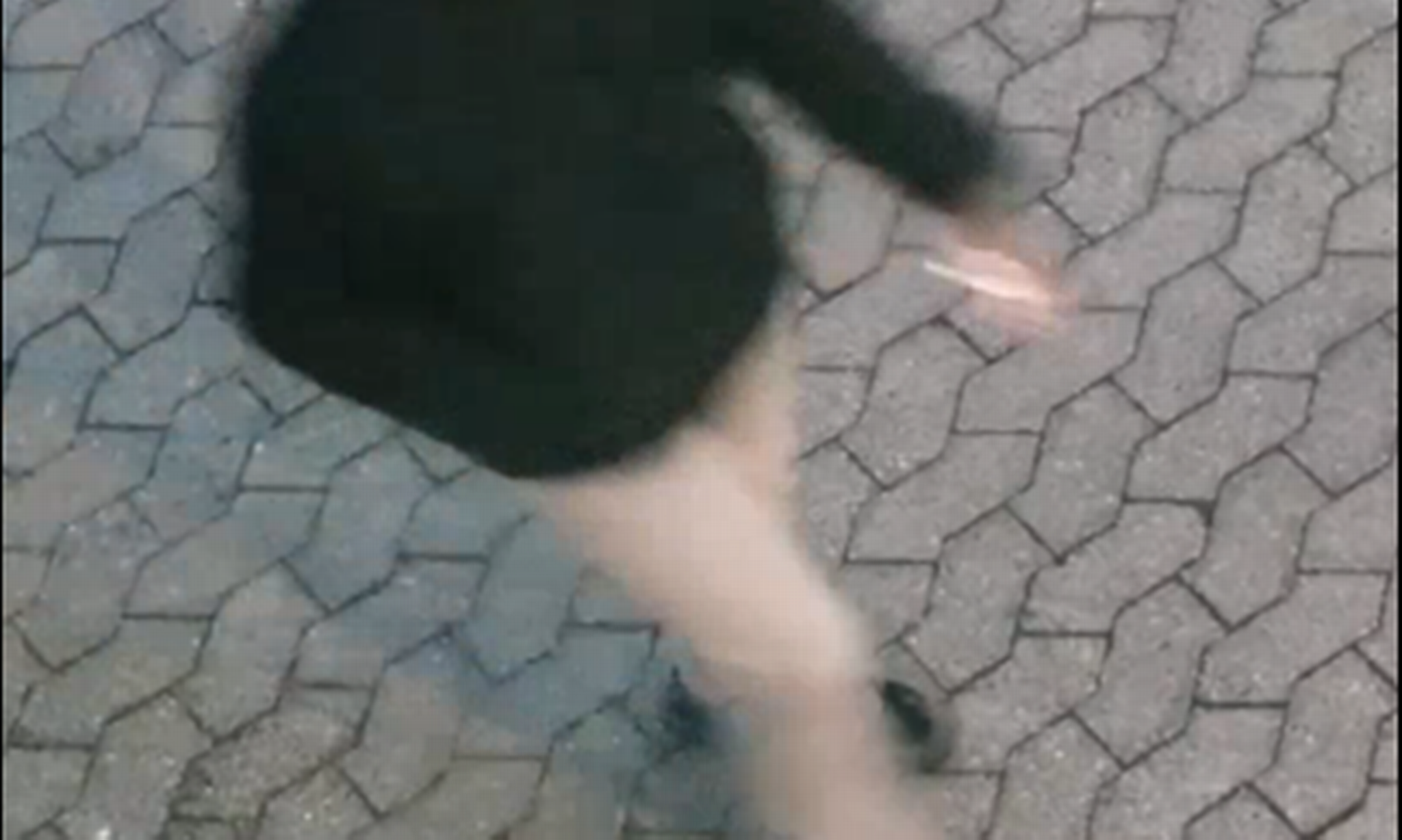 Artiklens øverste billede