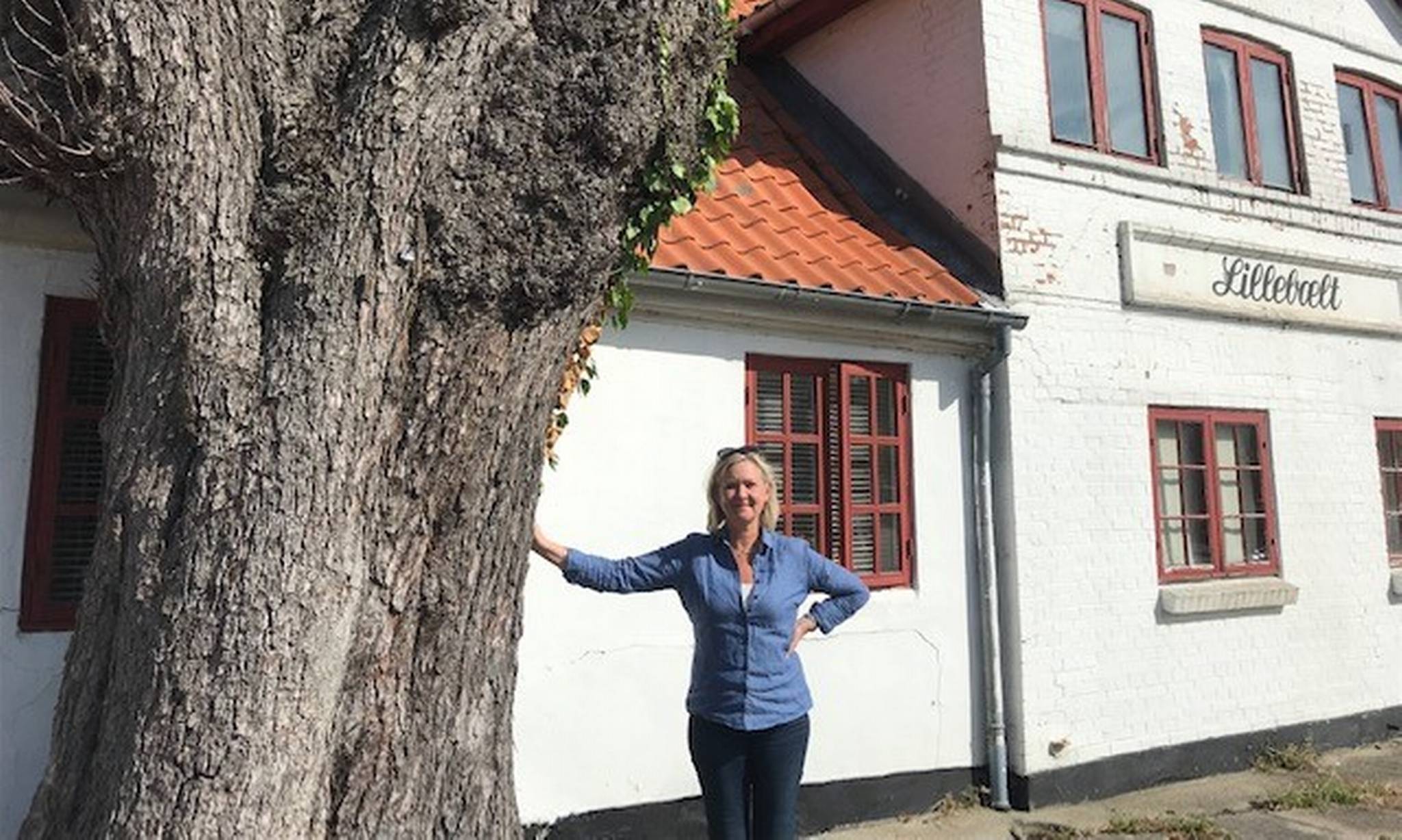 Artiklens øverste billede