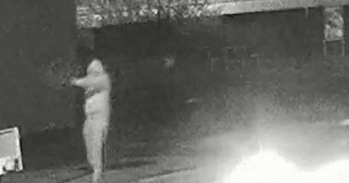 Fire år efter drabet på Søren: Politiet leder efter drabsvåben i Vejle