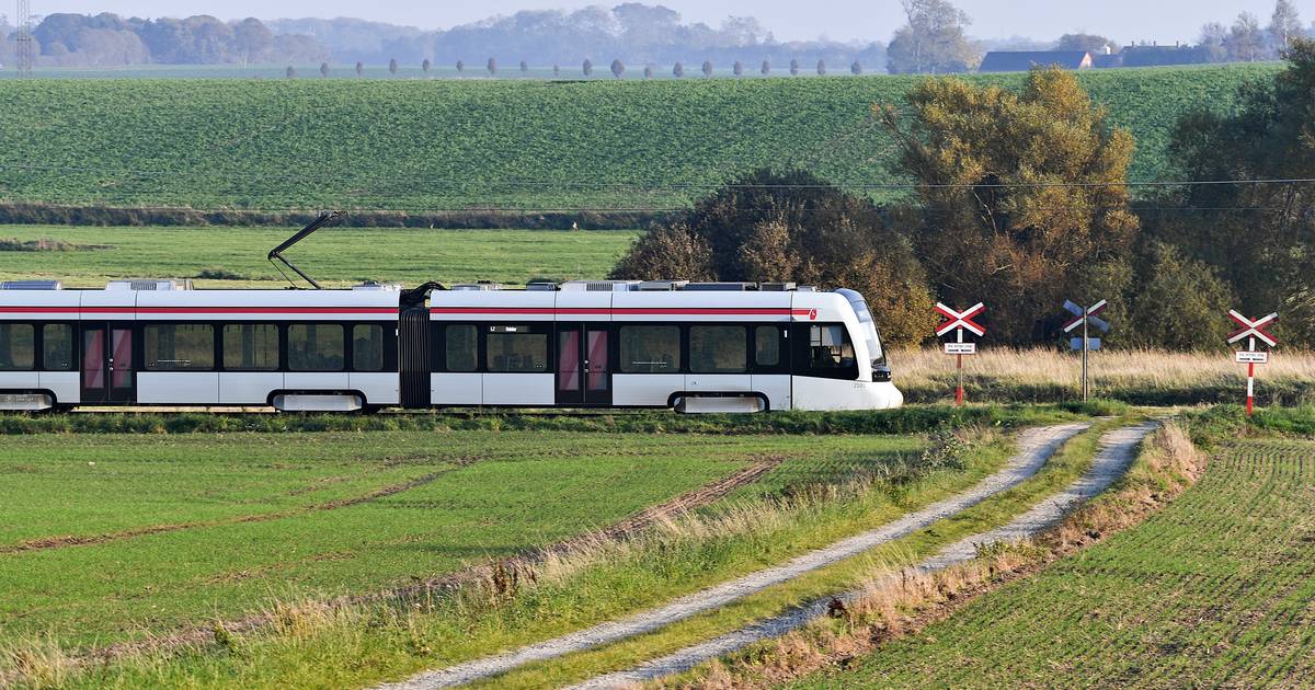 Manglende Flueben I Letbane-system Gav Månedlangt Kaos Med Aflyste Afgange