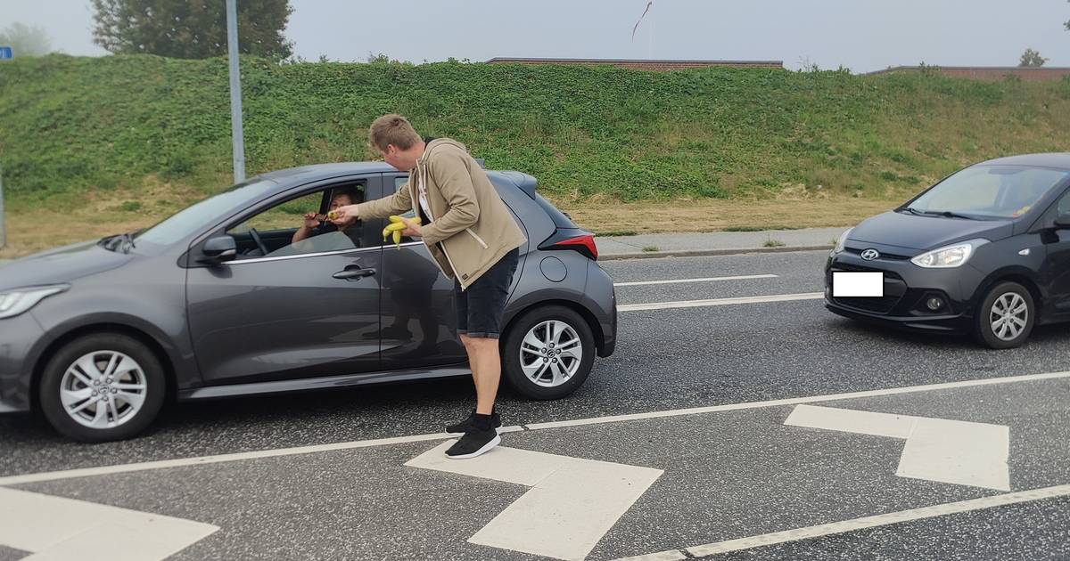 Trafikanter i morgenkø på Århusvej fik sund overraskelse - Din Avis