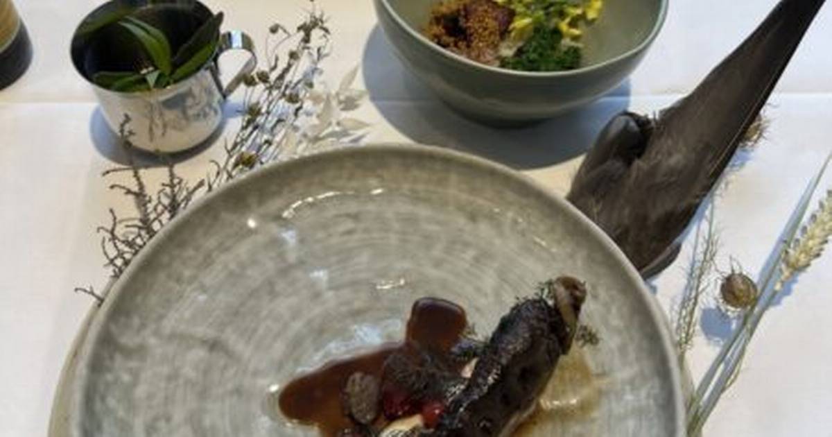 Vild med vildt? Lav sidste års vinder af årets vildtret i dit eget ...