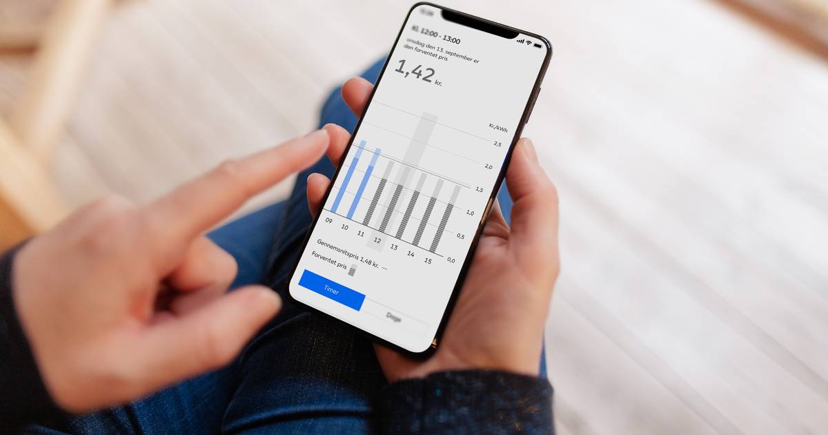 Eldirektør slår fast:  Mange elkunder snyder sig selv