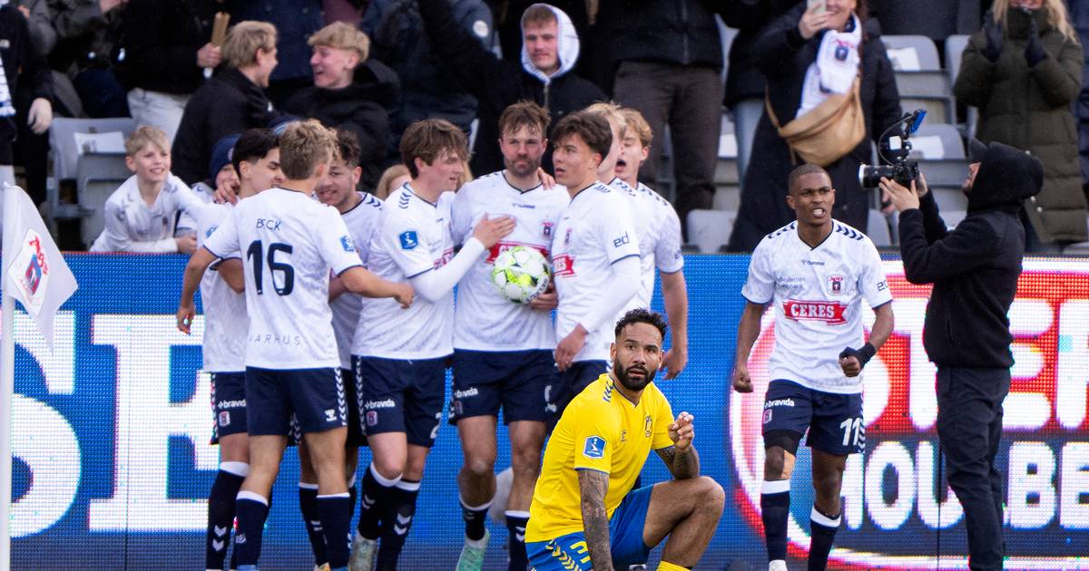 dinavis.dk