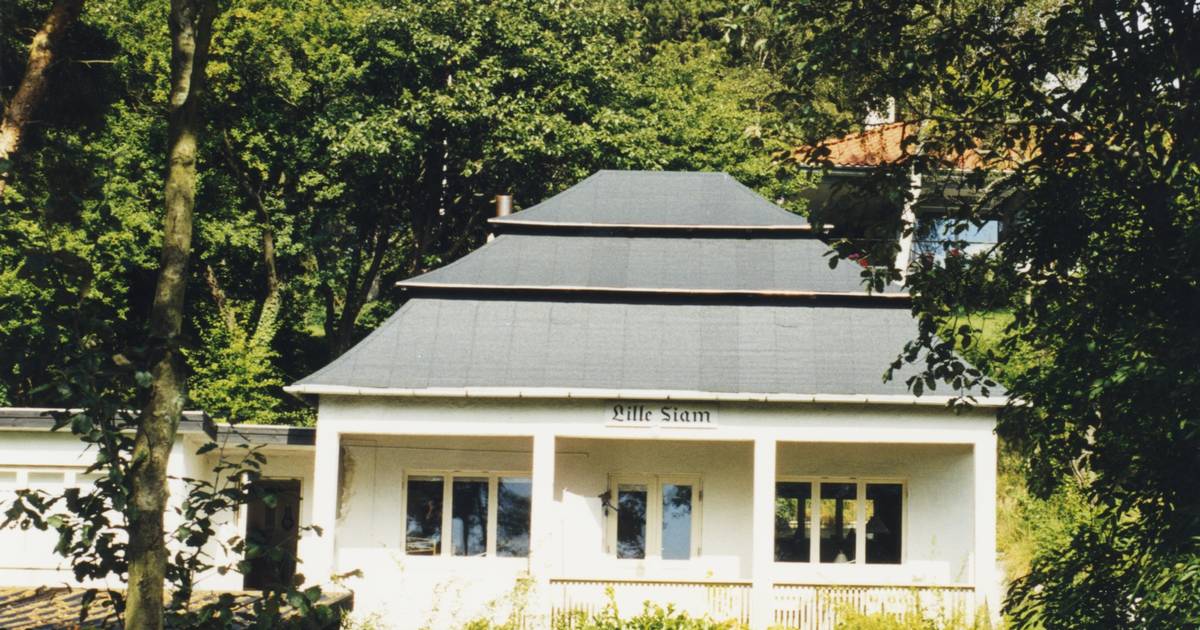 »Det kræver en virkelig god grund, før vi giver grønt lys til nedrivning«