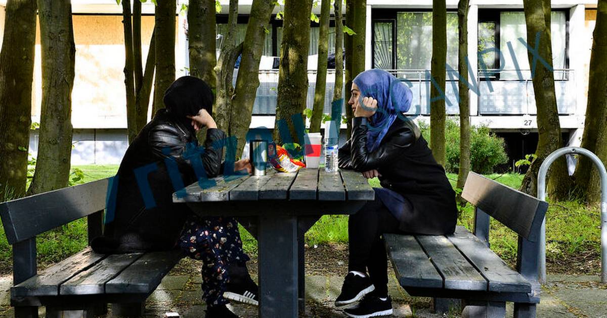 Knap en million indvandrere og efterkommere i Danmark: Så mange bor i ...
