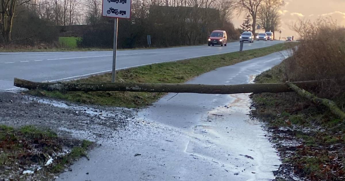 Rasmus bragede direkte ind i stammen: Hvem fjernede væltet træ fra ...