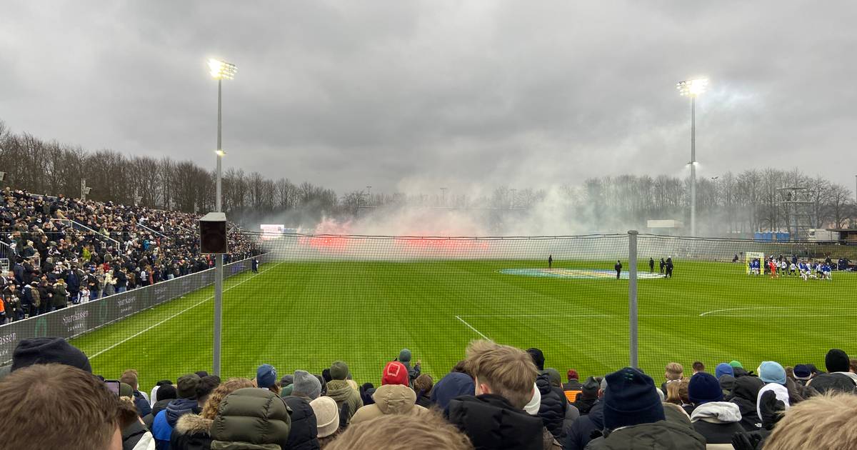 dinavis.dk