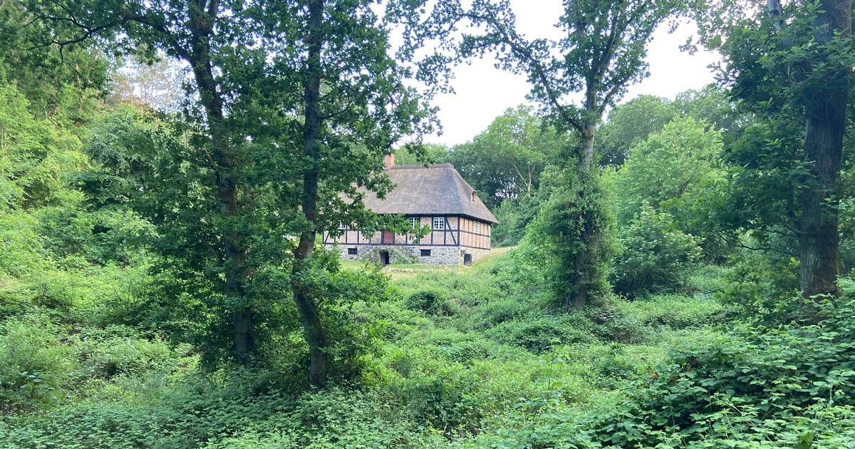 Over 300 af naturens forkæmpere samles tre dage i bakkerne på Mols ...