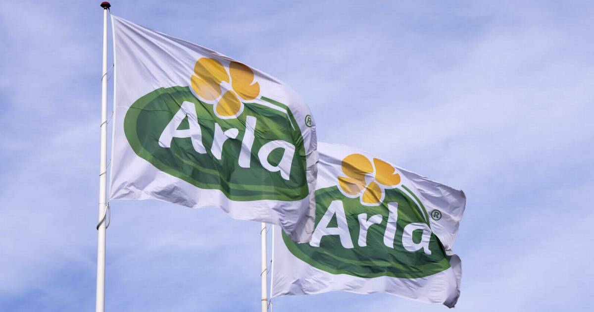 Ejere nikker ja til at fusionere Arla og tysk mejerigigant - Din Avis