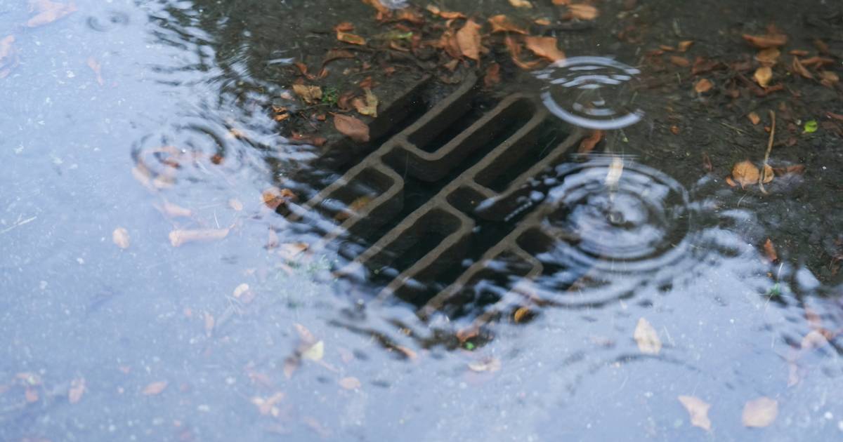 Tirsdag bliver en klam fornøjelse med voldsomme mængder regn - Din Avis